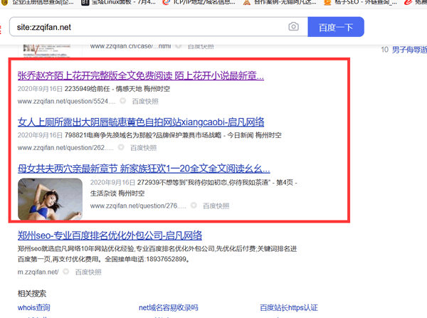 普通多site—自己沒有3W域名的網(wǎng)站,看看有沒有被人故意泛解析;